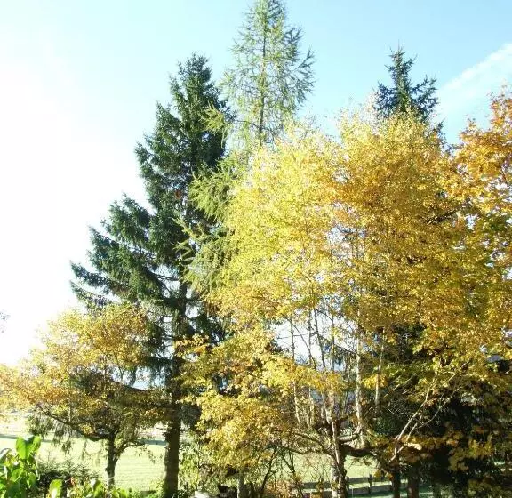 Fotos del hotel Menthof:  19