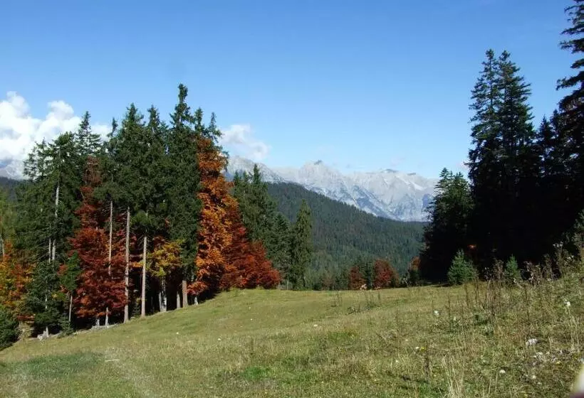 Fotos del hotel Menthof:  12