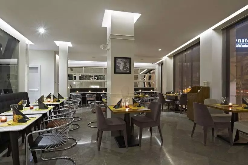 Fotos del hotel Senator Hotel Taksim:  11