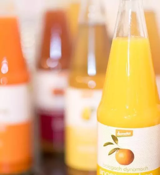 Fotos del hotel Court Garden Hotel - Ecodesigned:  13