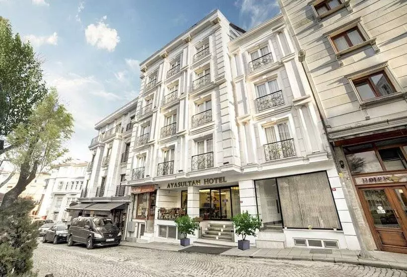 Fotos del hotel Ayasultan:  15