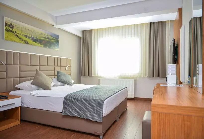 Fotos del hotel Hakcan:  12