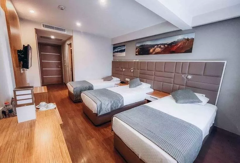 Fotos del hotel Hakcan:  8