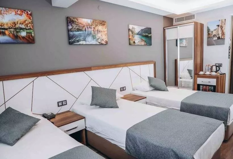 Fotos del hotel Hakcan:  6