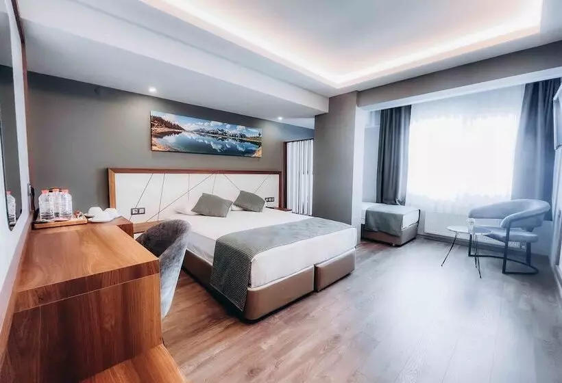 Fotos del hotel Hakcan:  4