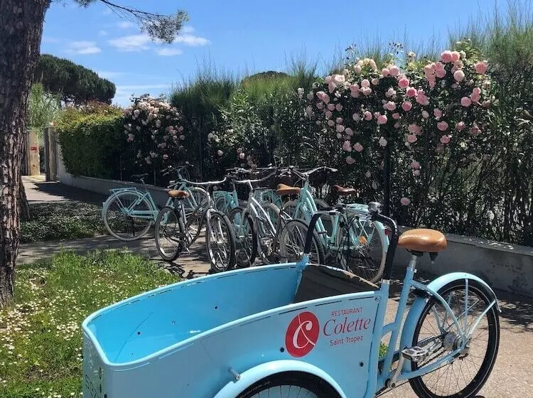 Fotos del hotel Sezz Saint-tropez:  9