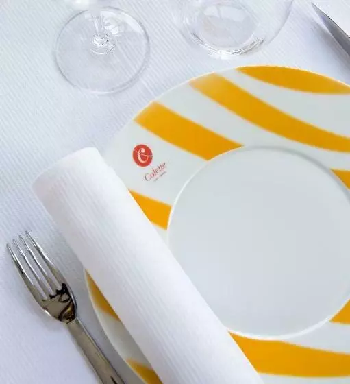 Fotos del hotel Sezz Saint-tropez:  13