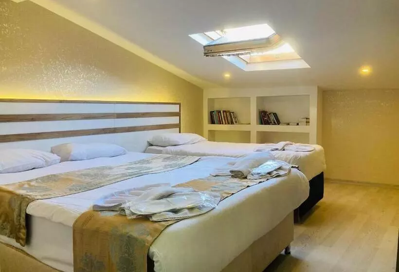 Fotos del hotel Theodian:  8