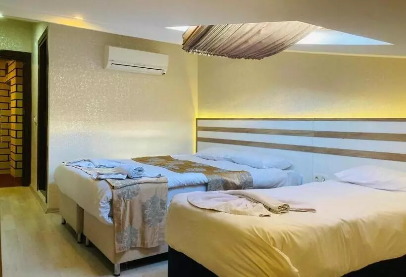 Fotos del hotel Theodian:  12