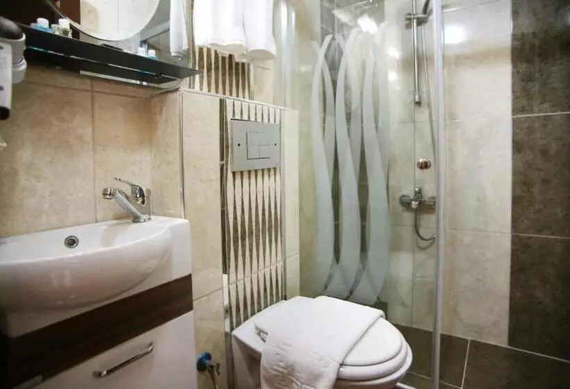 Fotos del hotel Theodian:  18