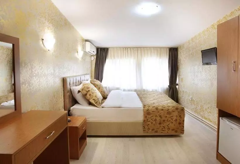 Fotos del hotel Theodian:  24