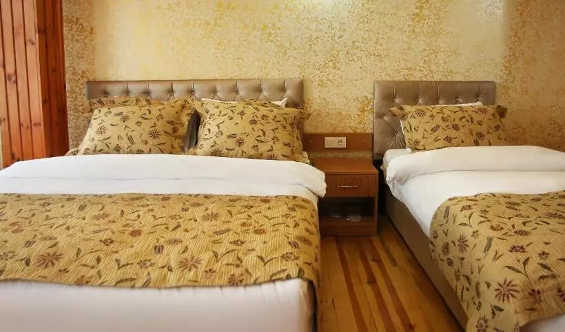 Fotos del hotel Theodian:  19