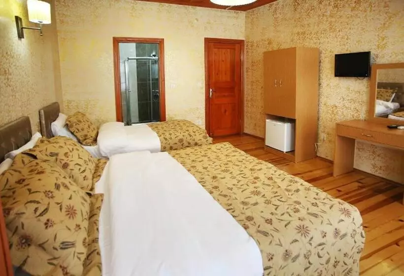 Fotos del hotel Theodian:  16