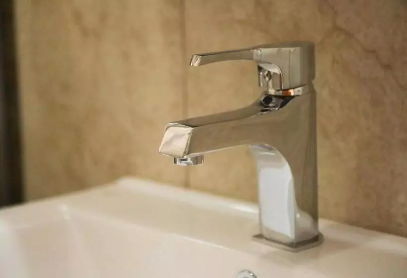 Fotos del hotel Theodian:  15