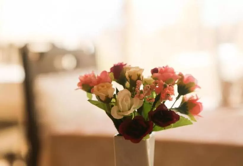 Fotos del hotel Theodian:  11