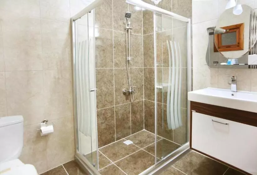 Fotos del hotel Theodian:  10