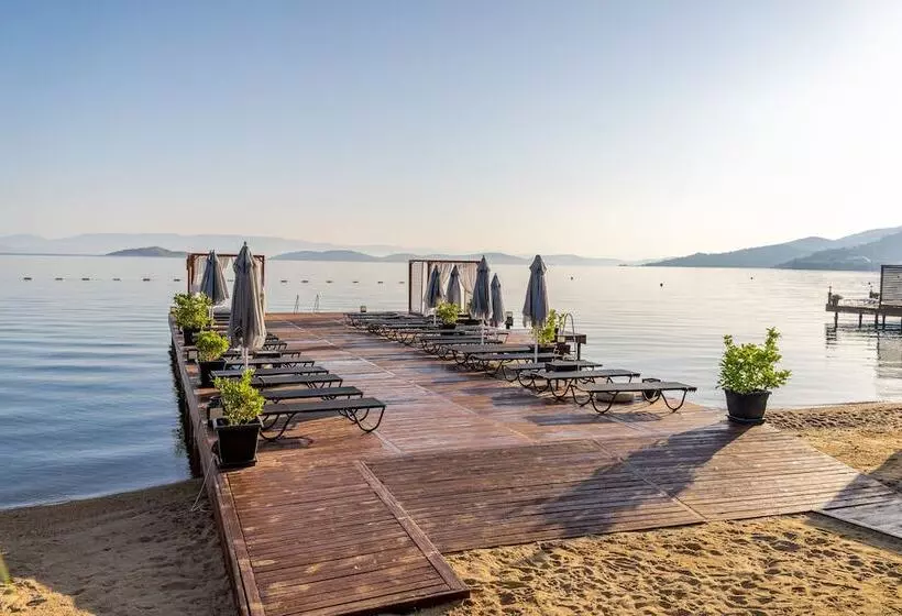 Fotos del hotel Moyo Luxury Boutique Hotel & Beach:  11