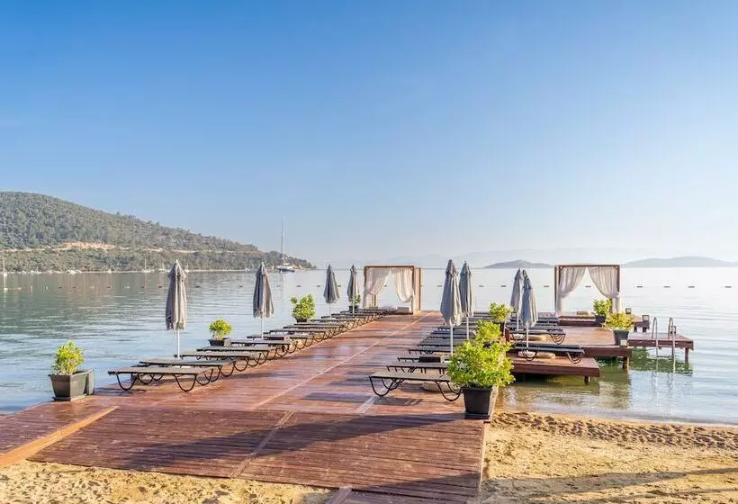 Fotos del hotel Moyo Luxury Boutique Hotel & Beach:  23