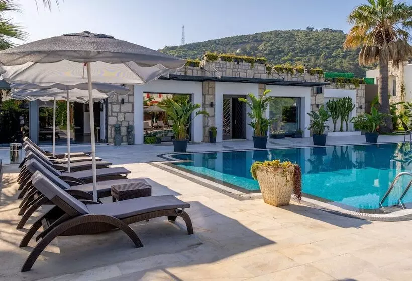 Fotos del hotel Moyo Luxury Boutique Hotel & Beach:  18