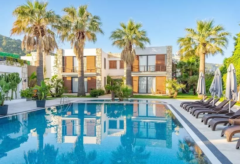 Fotos del hotel Moyo Luxury Boutique Hotel & Beach:  13