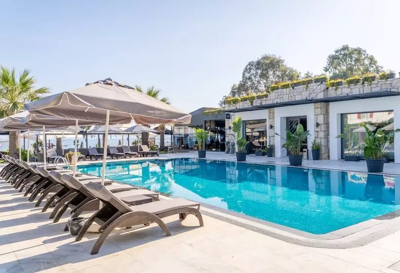 Fotos del hotel Moyo Luxury Boutique Hotel & Beach:  14