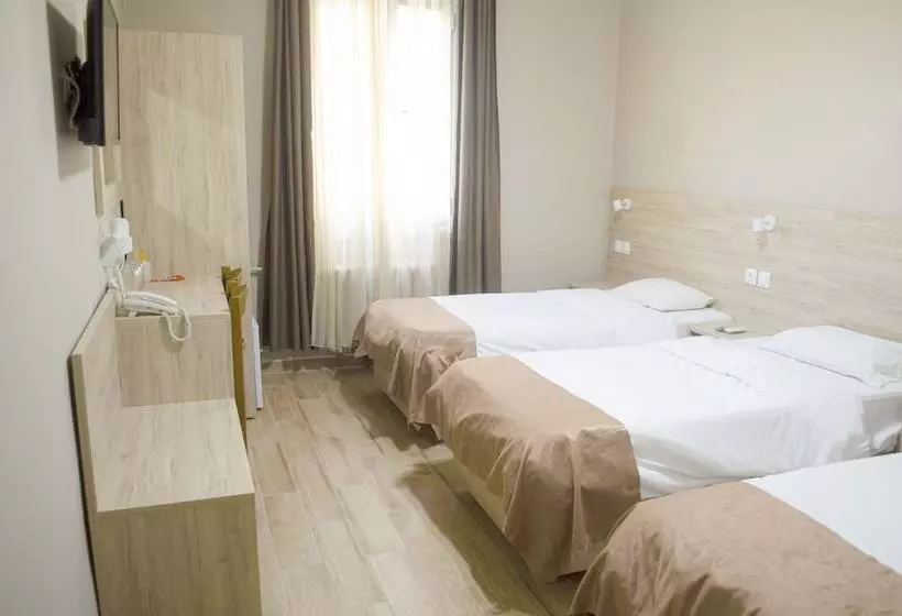 Fotos del hotel Nea Metropolis:  16