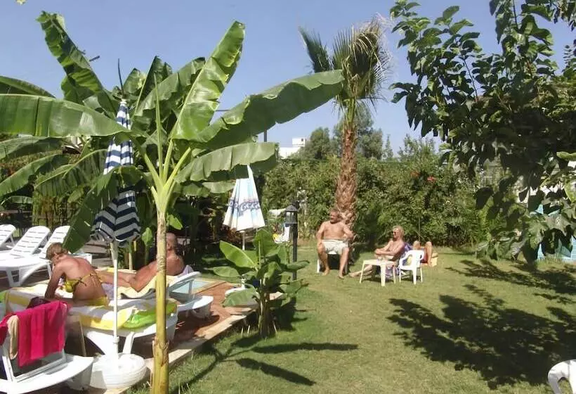 Fotos del hotel Olivia:  8