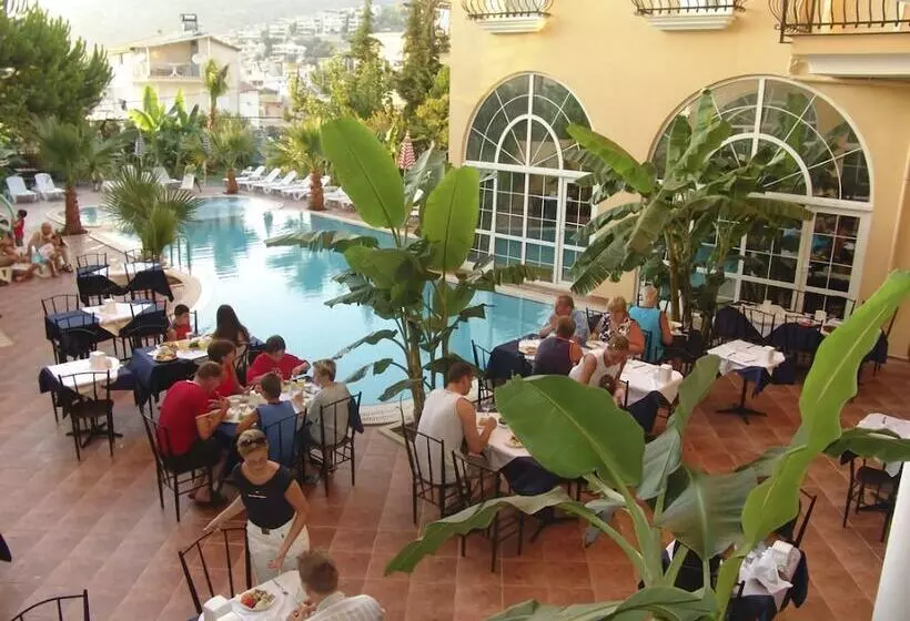 Fotos del hotel Olivia:  22