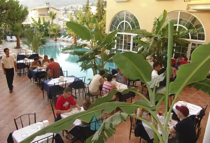 Fotos del hotel Olivia:  16