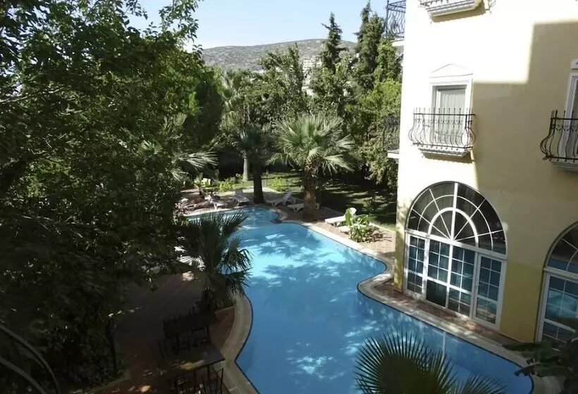 Fotos del hotel Olivia:  11