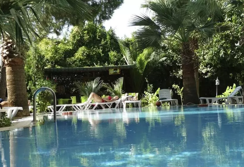 Fotos del hotel Olivia:  3