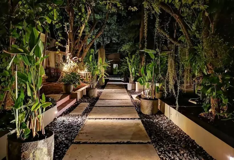 Fotos del hotel Montra Samui:  6