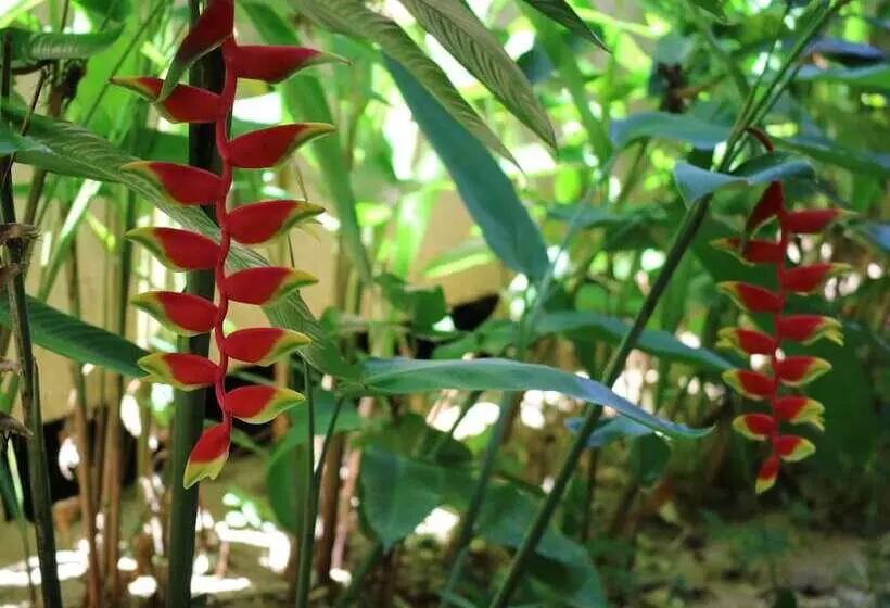 Fotos del hotel Palita Lodge:  18