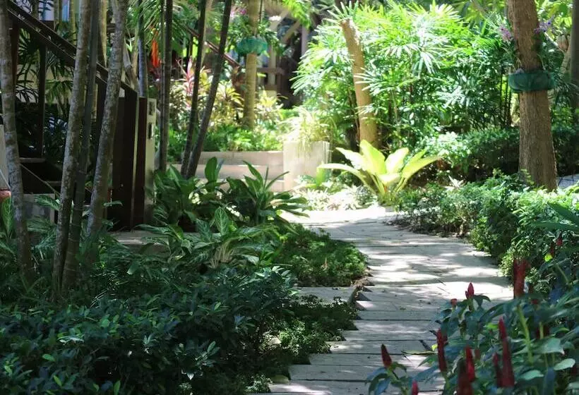 Fotos del hotel Palita Lodge:  13