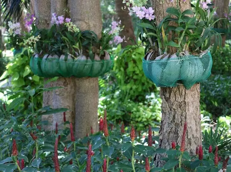 Fotos del hotel Palita Lodge:  9