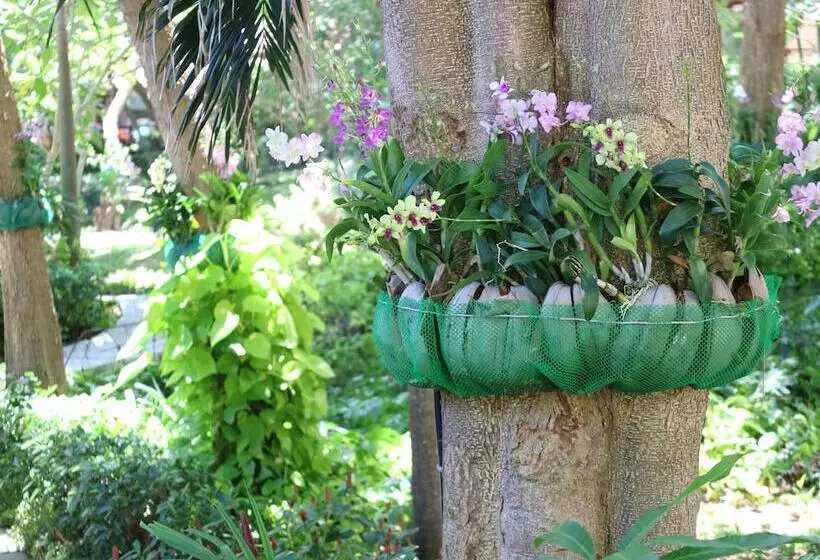 Fotos del hotel Palita Lodge:  4