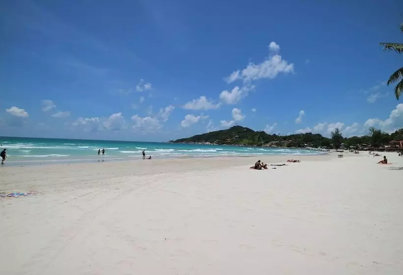 Fotos del hotel Palita Lodge:  15