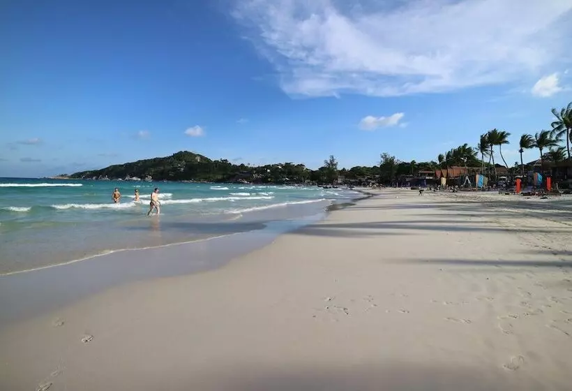 Fotos del hotel Palita Lodge:  10