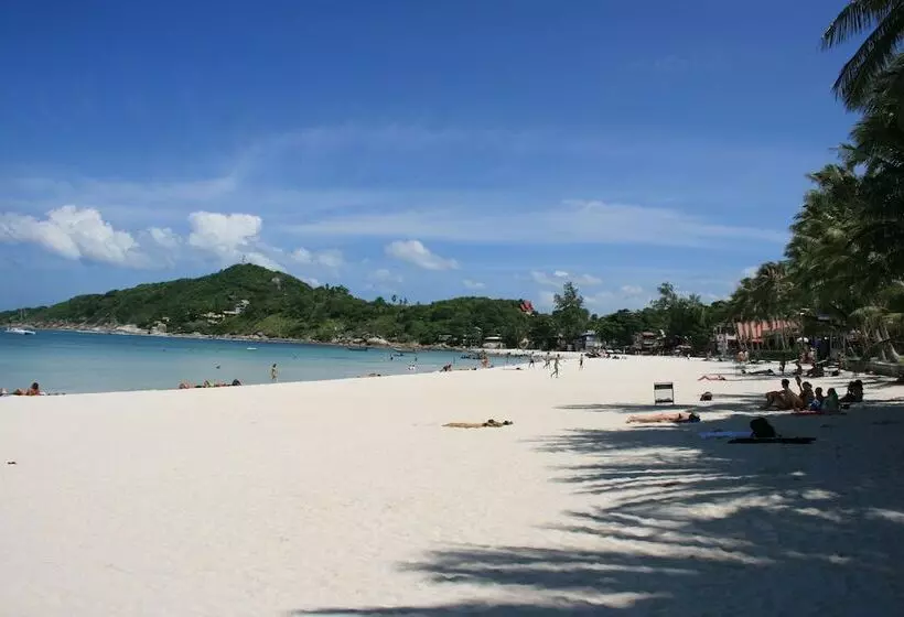 Fotos del hotel Palita Lodge:  5