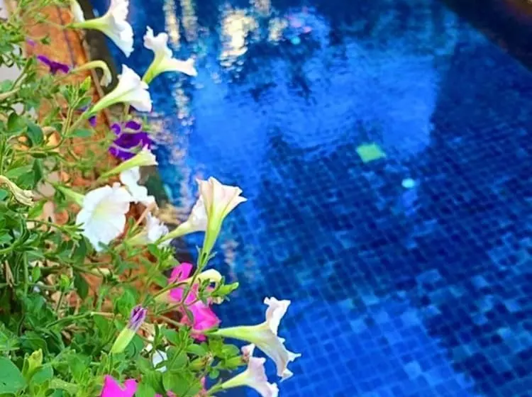 Fotos del hotel Vieng Mantra:  15