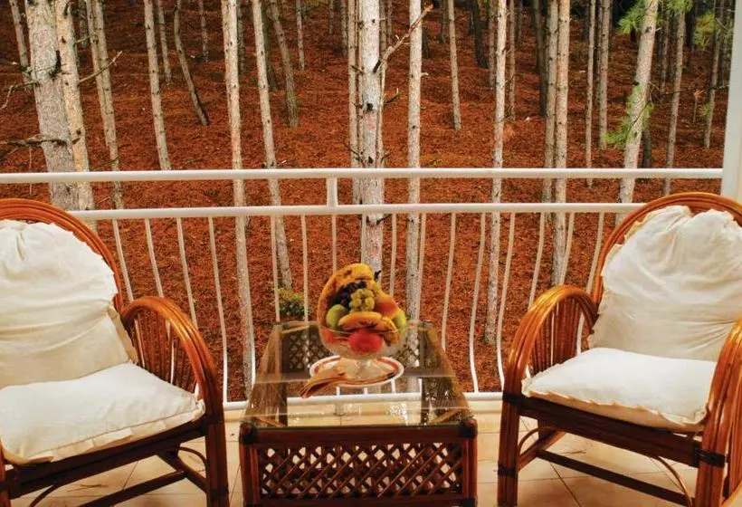 Fotos del hotel Belvedere:  17