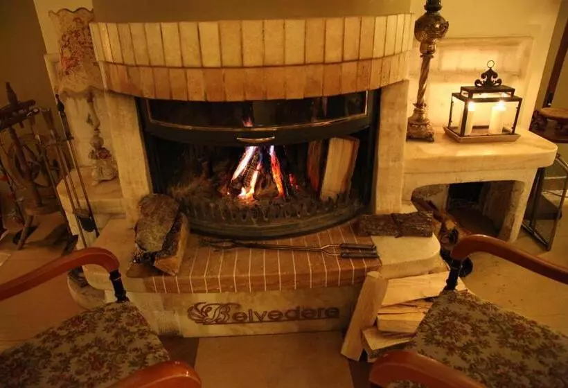 Fotos del hotel Belvedere:  15