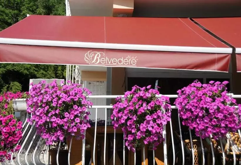 Fotos del hotel Belvedere:  20