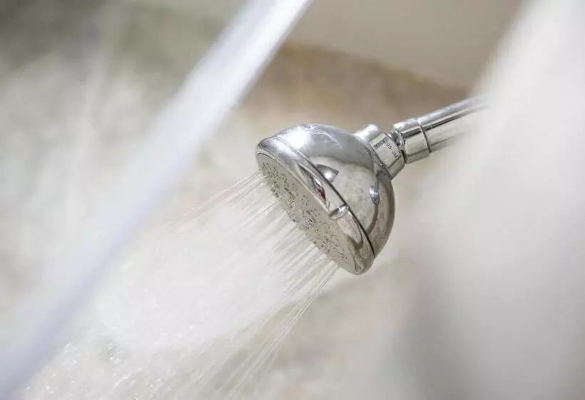 Fotos del hotel Buddy Boutique Inn:  5