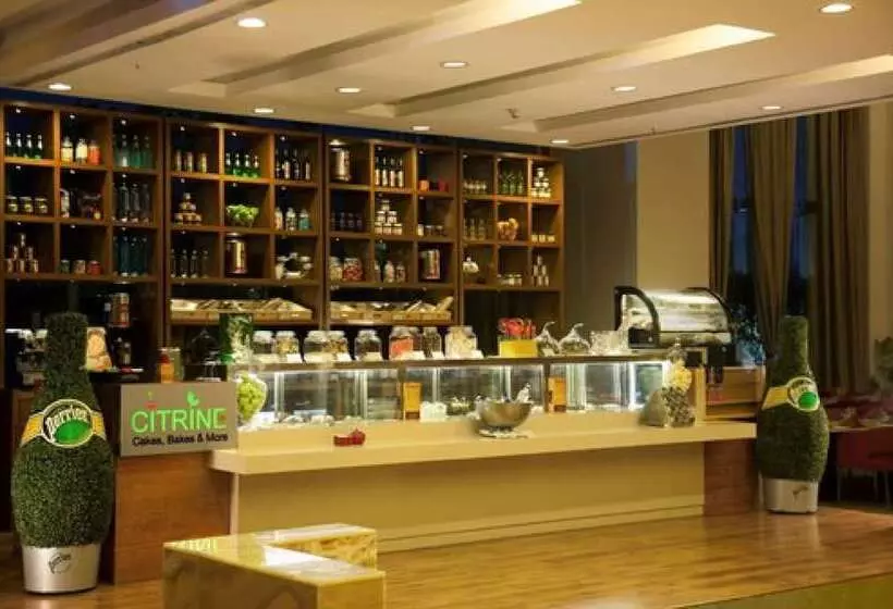 Fotos del hotel Radisson Blu Hotel Pune Kharadi:  14