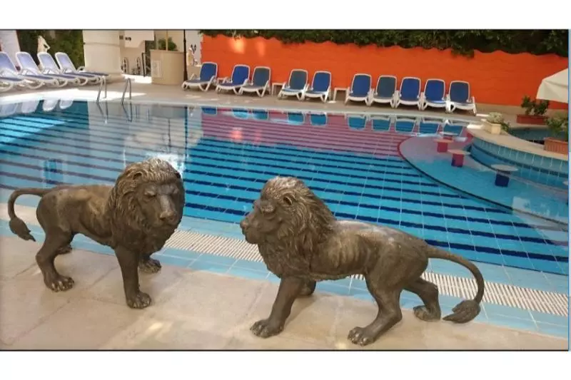 Fotos del hotel Elysees Dream Beach Hotel:  9