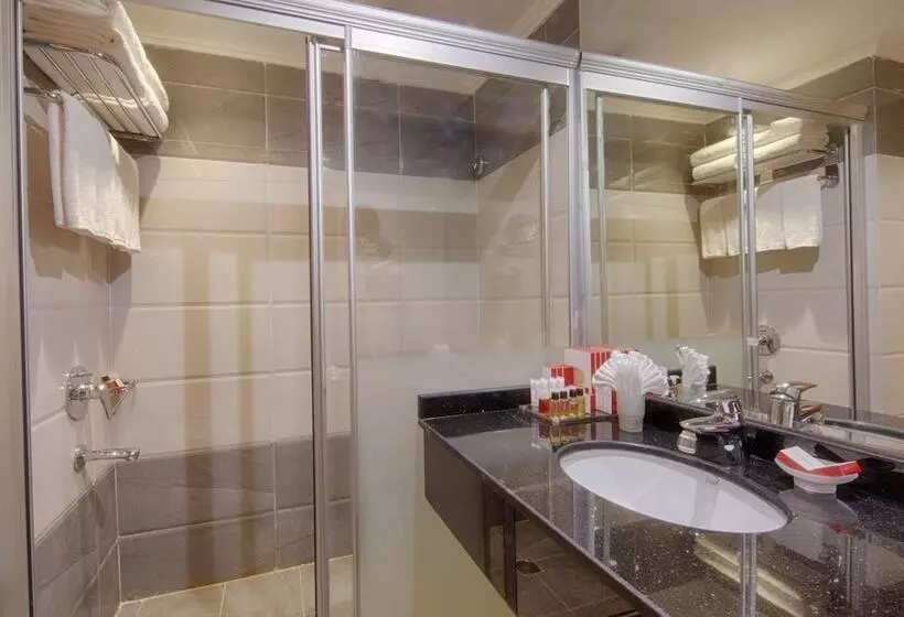 Fotos del hotel Al Safwah Royale Orchid Hotel:  20