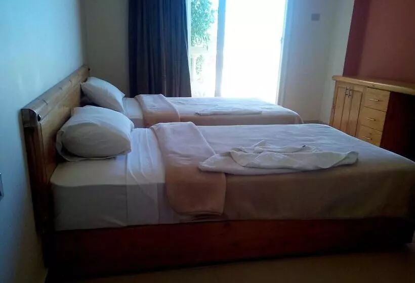 Fotos del hotel Dahab:  18