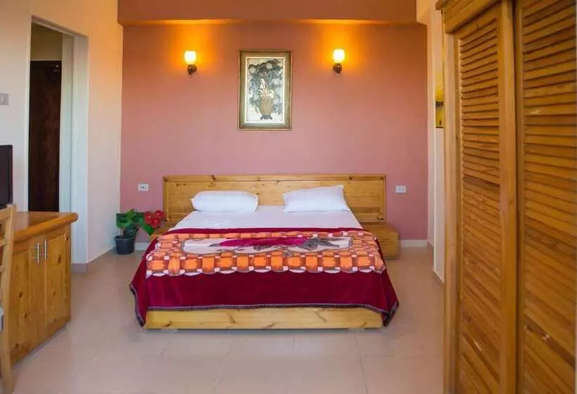 Fotos del hotel Dahab:  14