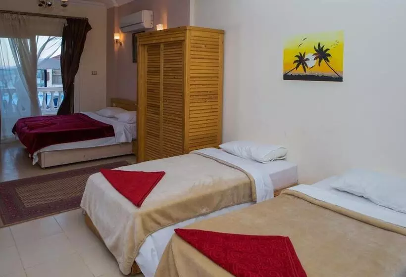 Fotos del hotel Dahab:  11